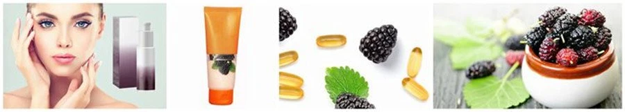 Mulberry fruit Powder application