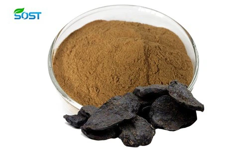 Polygonum multiflorum extract Polygonum multiflorum extract