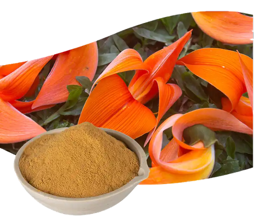 1698830916074 1698830916074