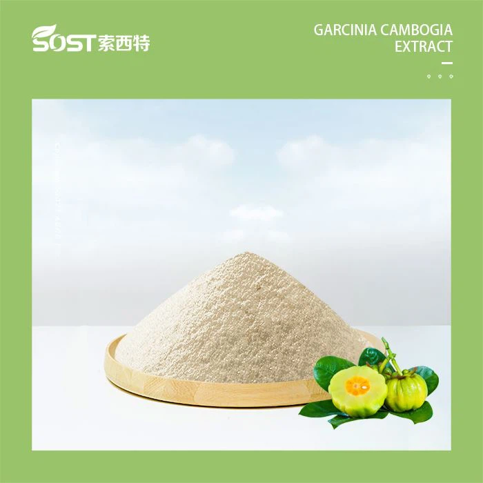 गार्सिनिया कैम्बोजिया पाउडर