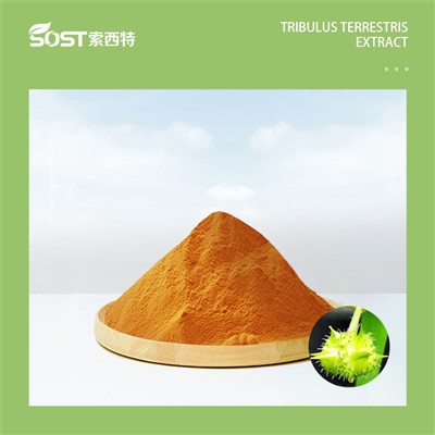 ट्रिबुलस टेरेस्ट्रिस एक्सट्रेक्ट पाउडर